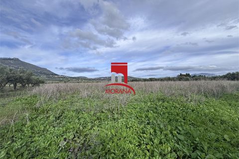 Grond in Erice, Trapani, Erice - € 25.000 | Ref: V461 - foto 2