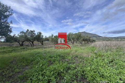 Grond in Erice, Trapani, Erice - € 25.000 | Ref: V461 - foto 3
