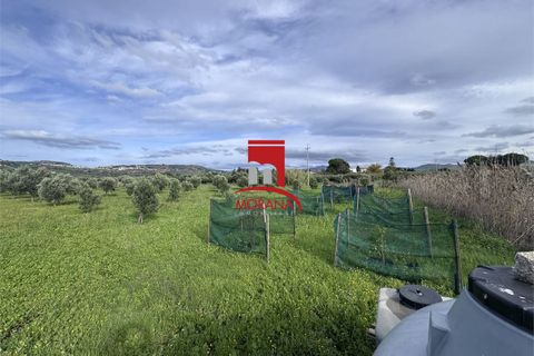 Grond in Erice, Trapani, Erice - € 25.000 | Ref: V461 - foto 4