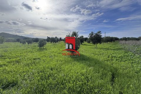 Grond in Erice, Trapani, Erice - € 25.000 | Ref: V461 - foto 5