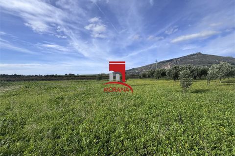 Grond in Erice, Trapani, Erice - € 25.000 | Ref: V461 - foto 6