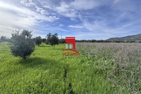 Grond in Erice, Trapani, Erice - € 25.000 | Ref: V461 - foto 7