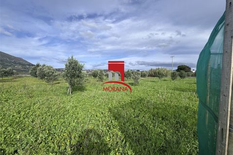 Grond in Erice, Trapani, Erice - € 25.000 | Ref: V461 - foto 8