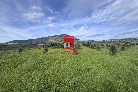 Grond in Erice, Trapani, Erice - € 25.000 | Ref: V461 - foto 10