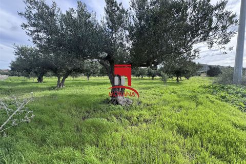 Grond in Erice, Trapani, Erice - € 25.000 | Ref: V461 - foto 12