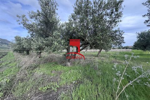 Grond in Erice, Trapani, Erice - € 25.000 | Ref: V461 - foto 13