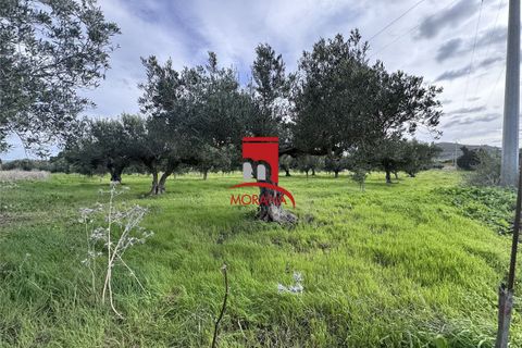 Grond in Erice, Trapani, Erice - € 25.000 | Ref: V461 - foto 14