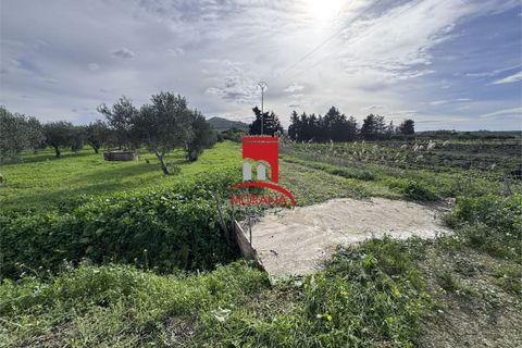 Grond in Erice, Trapani, Erice - € 25.000 | Ref: V461 - foto 15
