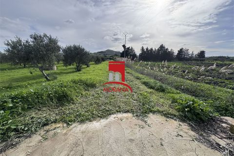 Grond in Erice, Trapani, Erice - € 25.000 | Ref: V461 - foto 16