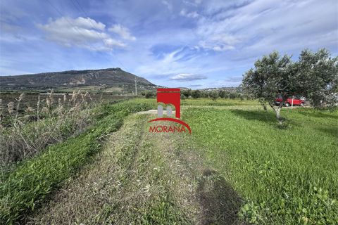Grond in Erice, Trapani, Erice - € 25.000 | Ref: V461 - foto 17