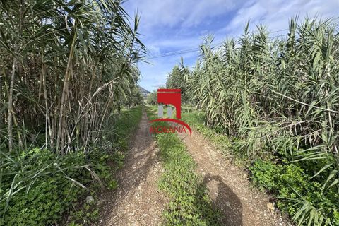Grond in Erice, Trapani, Erice - € 25.000 | Ref: V461 - foto 18