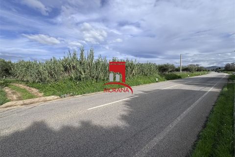 Grond in Erice, Trapani, Erice - € 25.000 | Ref: V461 - foto 20