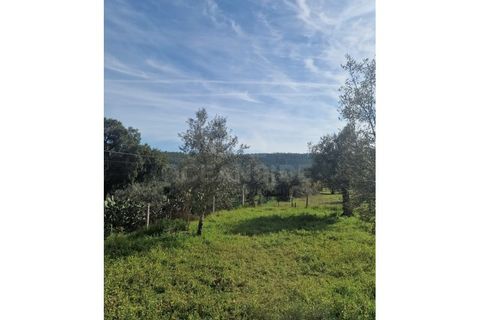 Landejendom i Abrantes, Santarem, Abrantes - € 69.500 | Ref: OSO26036.MGS - foto 4