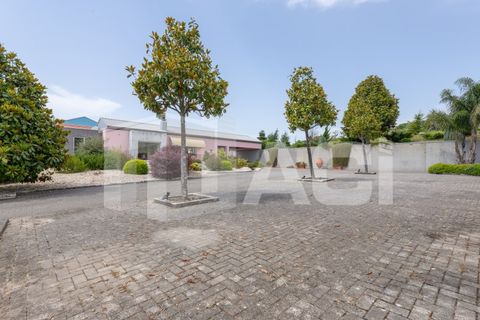 Villa a Batalha, Leiria, Batalha - € 1.750.000 | Ref: MOR_594 - foto 28