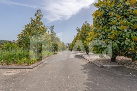 Villa a Batalha, Leiria, Batalha - € 1.750.000 | Ref: MOR_594 - foto 30