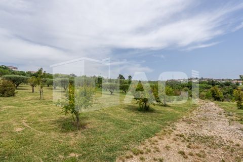 Villa a Batalha, Leiria, Batalha - € 1.750.000 | Ref: MOR_594 - foto 32