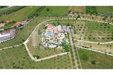 Villa a Batalha, Leiria, Batalha - € 1.750.000 | Ref: MOR_594 - foto 33