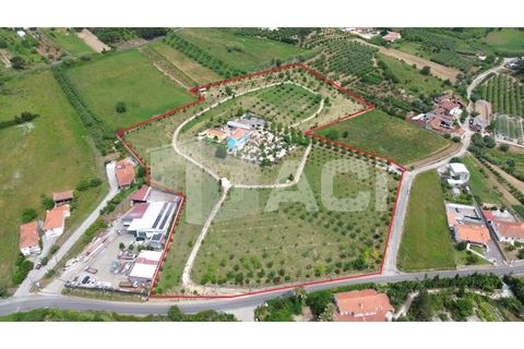 Villa a Batalha, Leiria, Batalha - € 1.750.000 | Ref: MOR_594 - foto 34