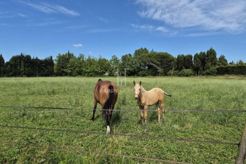 Villa a Graveson, Bouches-du-Rhone, Graveson - € 1.210.000 | Ref: 87090129 - foto 11