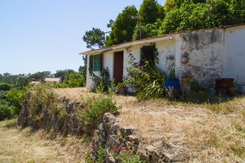 Helårsgrund i Buarcos, Coimbra, Buarcos - € 188.000 | Ref: ADF_80 - foto 4