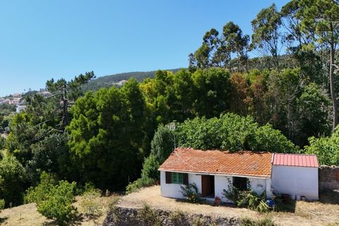 Helårsgrund i Buarcos, Coimbra, Buarcos - € 188.000 | Ref: ADF_80 - foto 8
