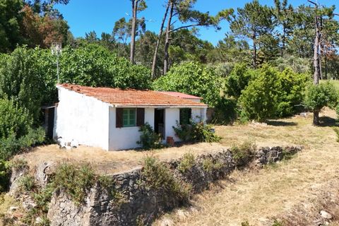 Helårsgrund i Buarcos, Coimbra, Buarcos - € 188.000 | Ref: ADF_80 - foto 9