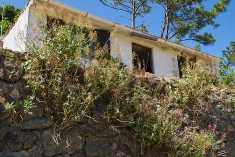 Helårsgrund i Buarcos, Coimbra, Buarcos - € 188.000 | Ref: ADF_80 - foto 10