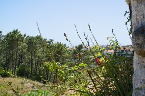 Helårsgrund i Buarcos, Coimbra, Buarcos - € 188.000 | Ref: ADF_80 - foto 17