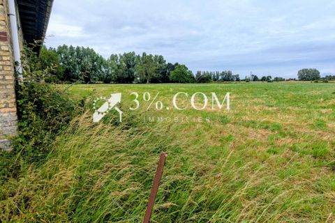 Farm i Bailleul, Nord, Bailleul - € 463.500 | Ref: 273_V3570064334 - foto 7