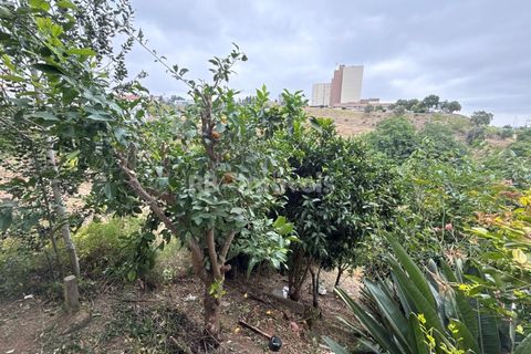 Wohnung in Abrantes, Santarem, Abrantes - € 210.000 | Ref: 02056-26 - Foto 18