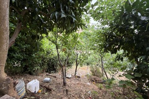 Wohnung in Abrantes, Santarem, Abrantes - € 210.000 | Ref: 02056-26 - Foto 19