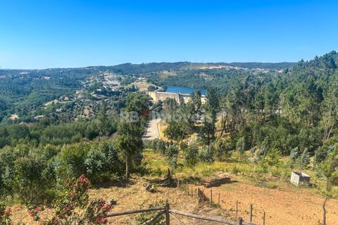 Haus in Abrantes, Santarem, Abrantes - € 500.000 | Ref: 02059-26 - Foto 44
