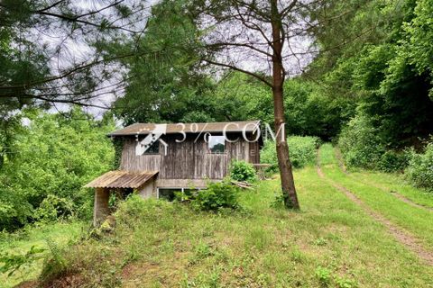 Villa i Walschbronn, Moselle, Walschbronn - € 39.000 | Ref: 293_V3770064311 - foto 17