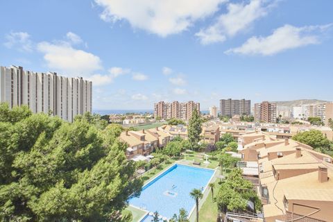 Lejlighed i Alicante, Alicante, Alicante - € 448.000 | Ref: CSPX-11827 - foto 2