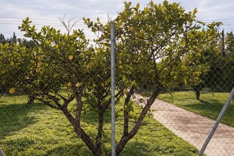 Villa i Inca, Mallorca, Inca - € 1.230.000 | Ref: 1029 - foto 14