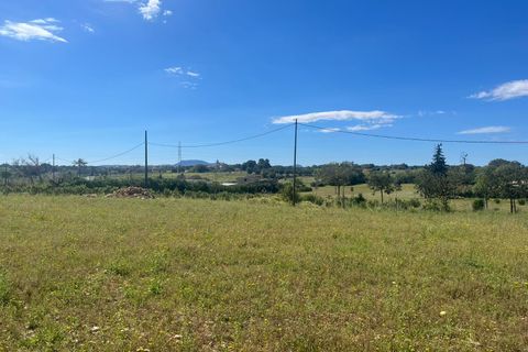 Terra a Sencelles, Mallorca, Sencelles - € 695.000 | Ref: 1025 - foto 5
