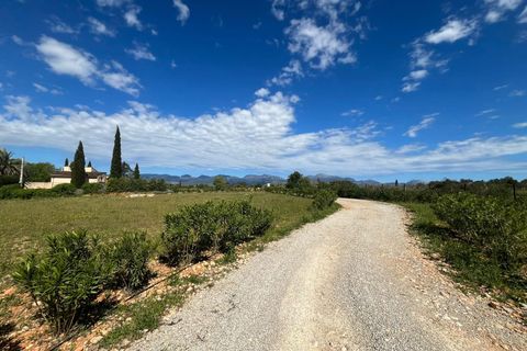 Terra a Sencelles, Mallorca, Sencelles - € 695.000 | Ref: 1025 - foto 6