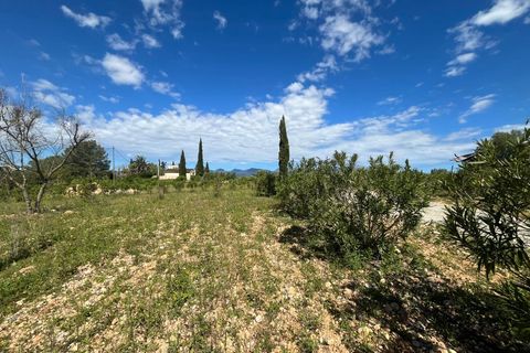 Terra a Sencelles, Mallorca, Sencelles - € 695.000 | Ref: 1025 - foto 7