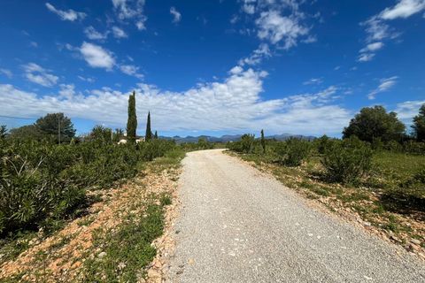 Terra a Sencelles, Mallorca, Sencelles - € 695.000 | Ref: 1025 - foto 8