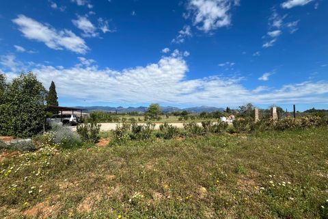 Terra a Sencelles, Mallorca, Sencelles - € 695.000 | Ref: 1025 - foto 9
