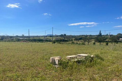 Terra a Sencelles, Mallorca, Sencelles - € 695.000 | Ref: 1025 - foto 10