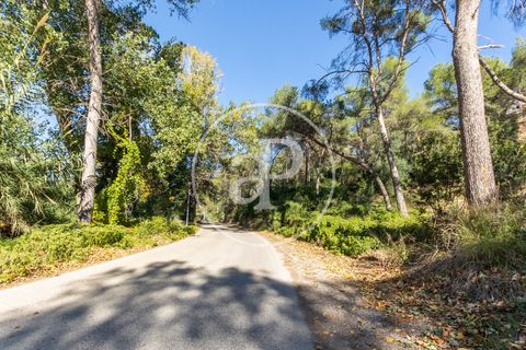 Villa i Torrent, Valencia, Torrent - € 475.000 | Ref: VV2606038 - foto 32