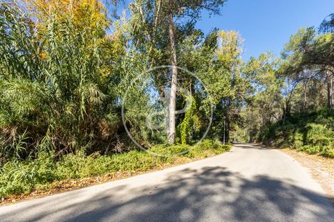 Villa i Torrent, Valencia, Torrent - € 475.000 | Ref: VV2606038 - foto 33