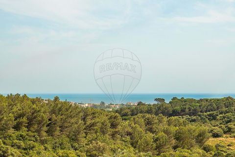 Villa a Cascais, Lisbon, Cascais - € 1.100.000 | Ref: 121021444-59 - foto 8
