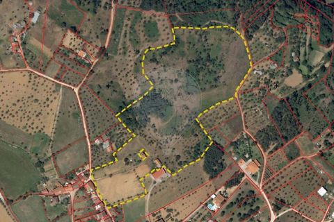 Farm hus i Seia, Guarda, Seia - € 210.000 | Ref: 126021033-88 - foto 4