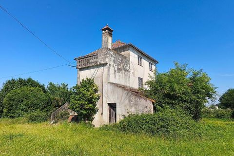 Farm hus i Seia, Guarda, Seia - € 210.000 | Ref: 126021033-88 - foto 12