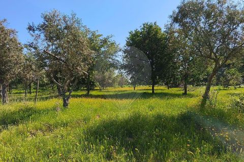 Farm hus i Seia, Guarda, Seia - € 210.000 | Ref: 126021033-88 - foto 13