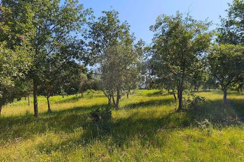 Farm hus i Seia, Guarda, Seia - € 210.000 | Ref: 126021033-88 - foto 16