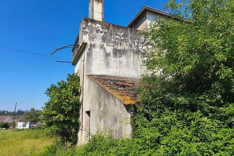 Farm hus i Seia, Guarda, Seia - € 210.000 | Ref: 126021033-88 - foto 17