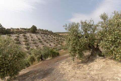 Terra a Jayena, Granada, Jayena - € 68.900 | Ref: 03487/8251 - foto 6